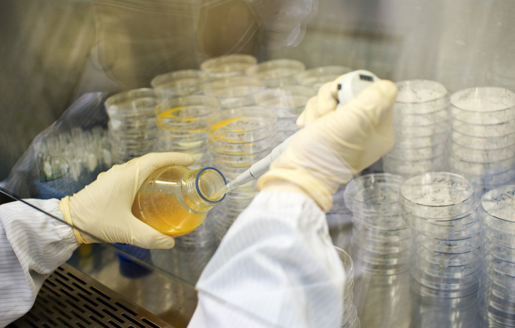 BG大游·(集团)视讯官方网站