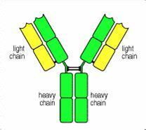BG大游·(集团)视讯官方网站