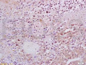 BG大游·(集团)视讯官方网站