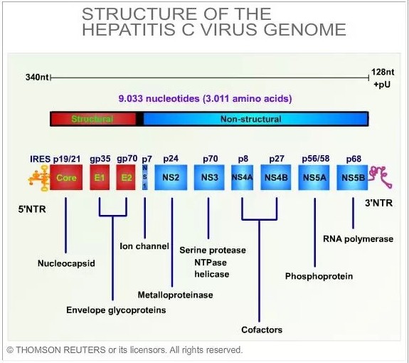 BG大游·(集团)视讯官方网站