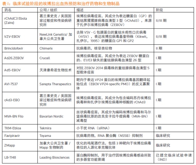 BG大游·(集团)视讯官方网站