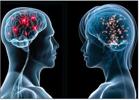 5月2号，，，，，，医药经济报上揭晓了关于陈春麟博士的报道——CRO的中国式崛起路径