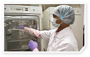 10月17日，，，，，，陈春麟博士将加入2012岛津全球制药峰会