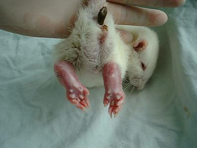 BG大游·(集团)视讯官方网站