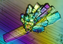 BG大游·(集团)视讯官方网站