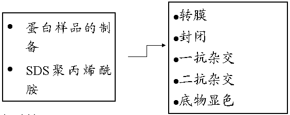 BG大游·(集团)视讯官方网站