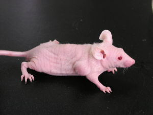 BG大游·(集团)视讯官方网站