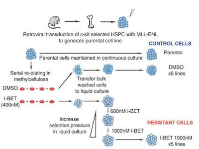 BG大游·(集团)视讯官方网站