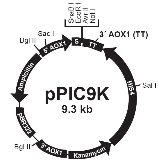 BG大游·(集团)视讯官方网站