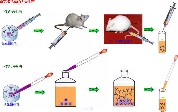BG大游·(集团)视讯官方网站