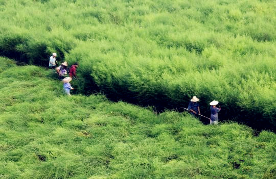 BG大游·(集团)视讯官方网站