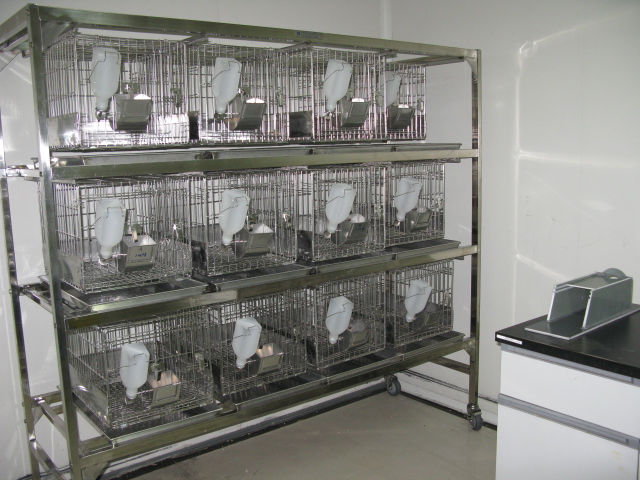 BG大游普亚新动物房通过上海动管会验收