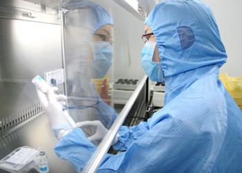 仿制药值得争取的六类手艺指标