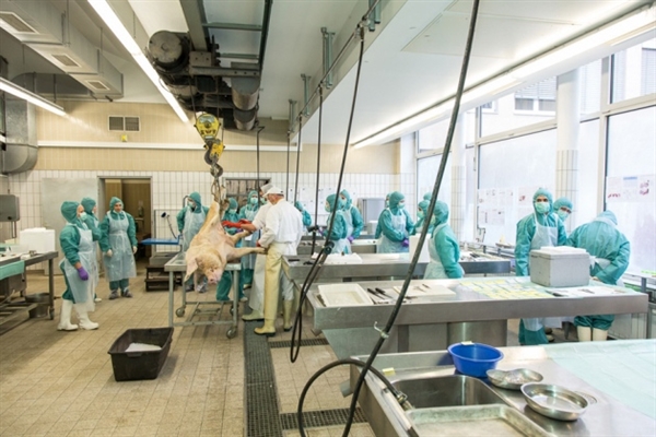 药物注册门槛再提高仿制药迎来“镌汰赛”