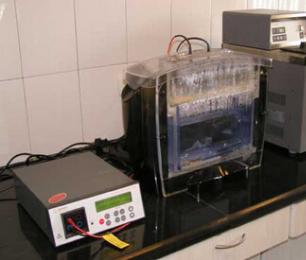 BG大游·(集团)视讯官方网站