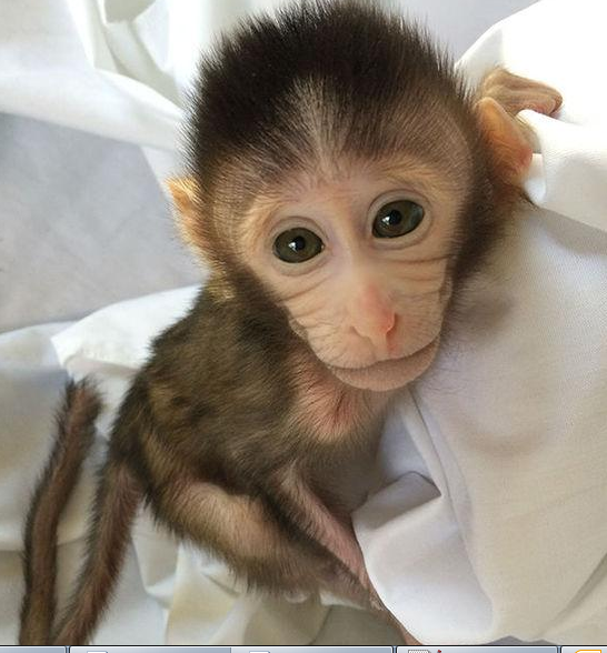 BG大游·(集团)视讯官方网站