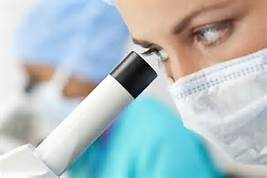 立异药进入早期收获期