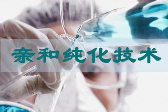 BG大游亲和纯化手艺效劳