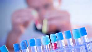 BG大游·(集团)视讯官方网站