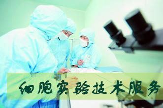 BG大游细胞实验效劳外包