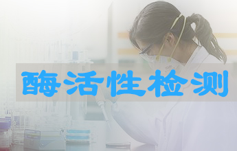 BG大游酶活性测定效劳