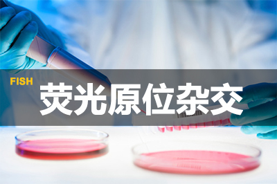 BG大游荧光原位杂交手艺