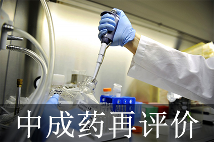 BG大游·(集团)视讯官方网站