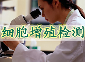 BG大游细胞增殖检测