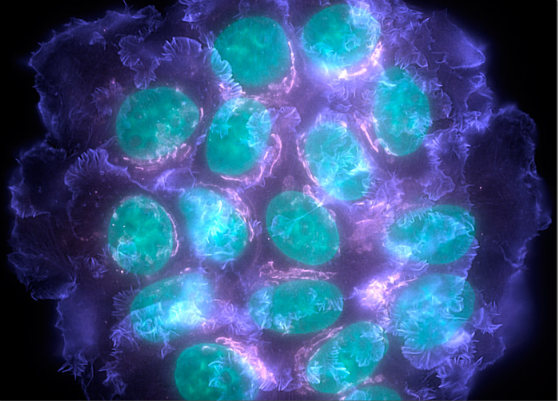 BG大游·(集团)视讯官方网站