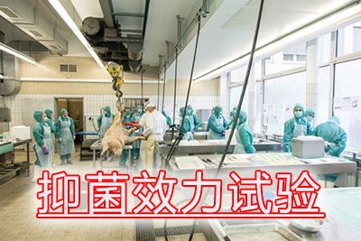 BG大游抑菌效力试验用度