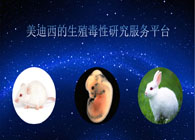 BG大游的生殖毒性研究效劳平台