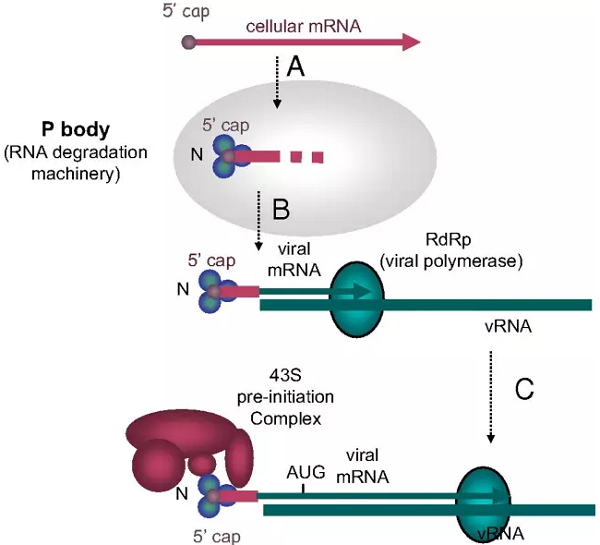 BG大游·(集团)视讯官方网站