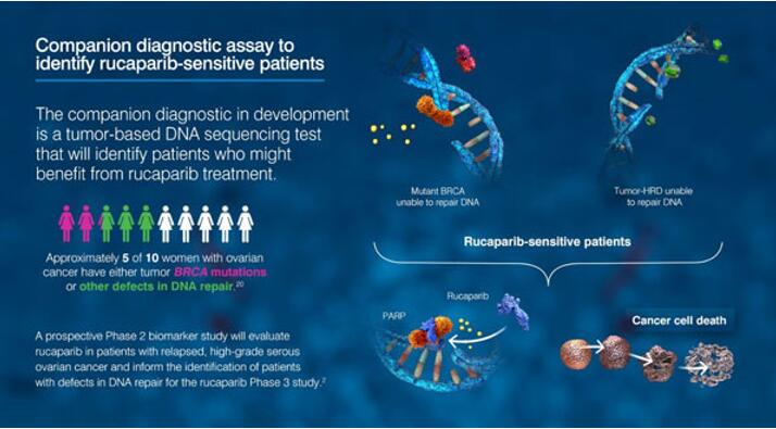 BG大游·(集团)视讯官方网站
