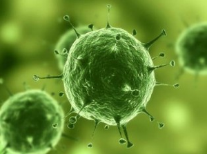 Nature：治疗实体瘤有了明确靶标，，，肿瘤干细胞确实保存