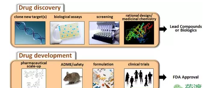 BG大游·(集团)视讯官方网站