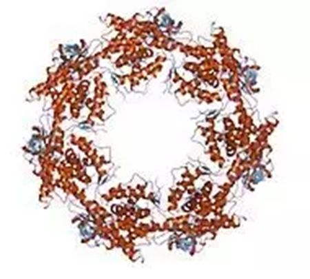 BG大游·(集团)视讯官方网站