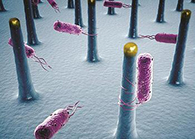 未来的药丸里，，，可能有一万亿小我私家工刷新的细菌？？？？