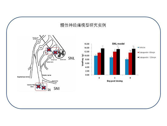 BG大游·(集团)视讯官方网站
