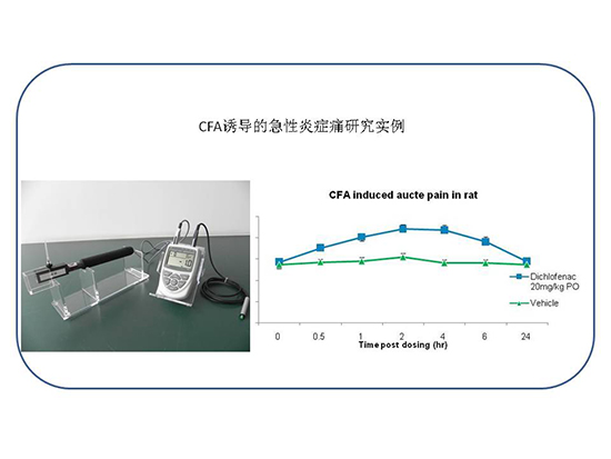 BG大游·(集团)视讯官方网站