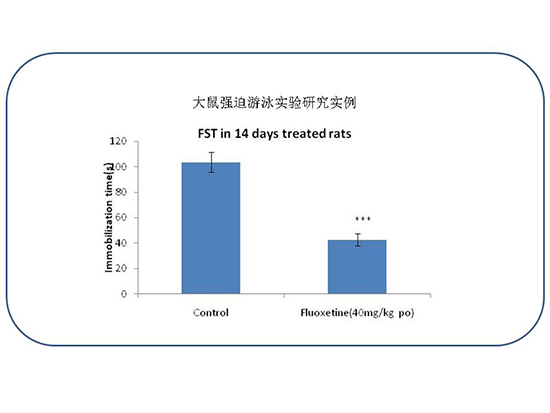 BG大游·(集团)视讯官方网站