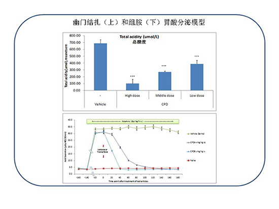 BG大游·(集团)视讯官方网站