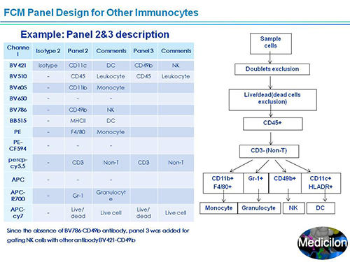 BG大游副总裁汪俊博士SAPA-DC聚会演讲PPT