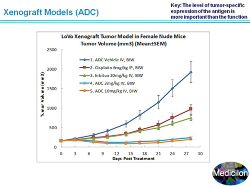 BG大游·(集团)视讯官方网站