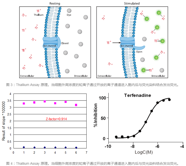 BG大游·(集团)视讯官方网站