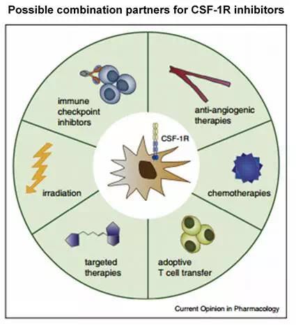 BG大游·(集团)视讯官方网站