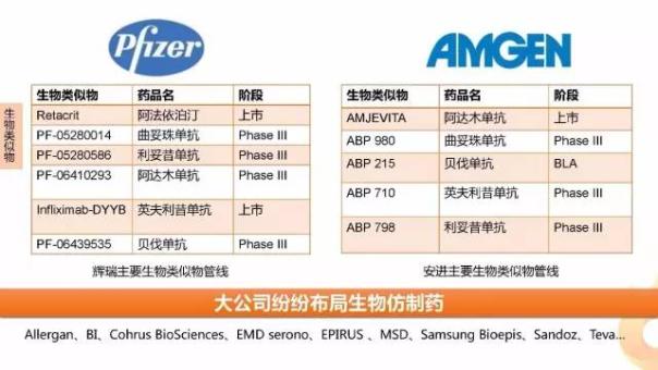 BG大游·(集团)视讯官方网站