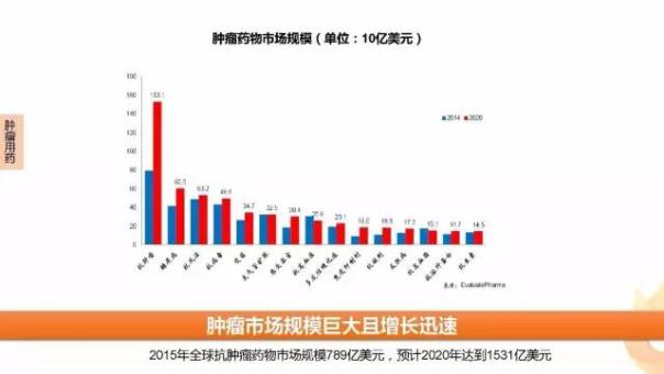 BG大游·(集团)视讯官方网站