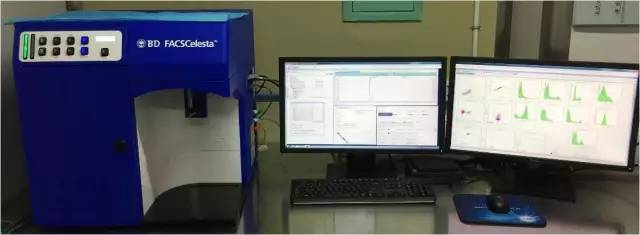 BG大游·(集团)视讯官方网站