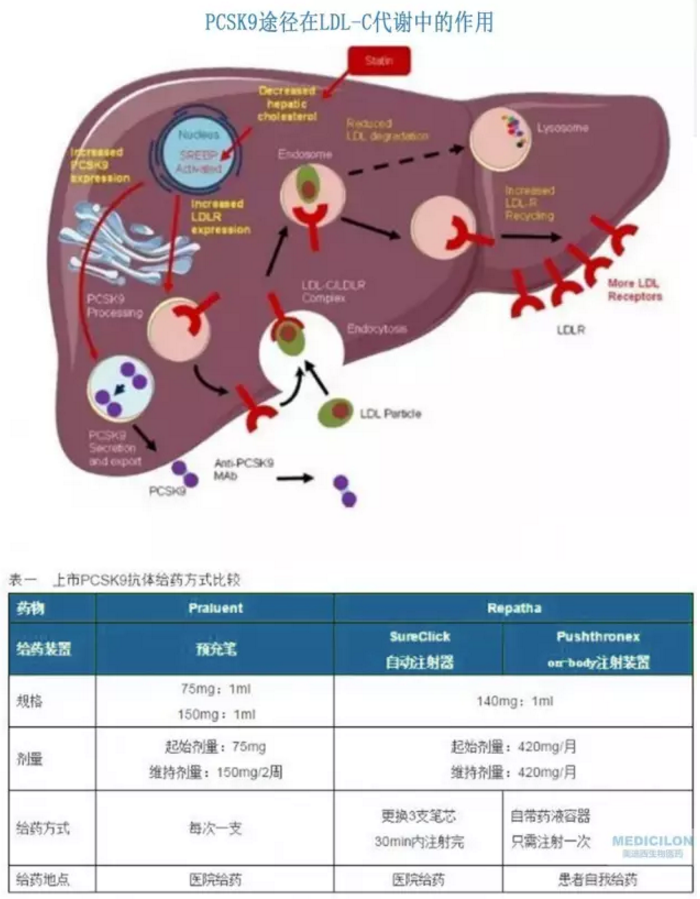 BG大游·(集团)视讯官方网站