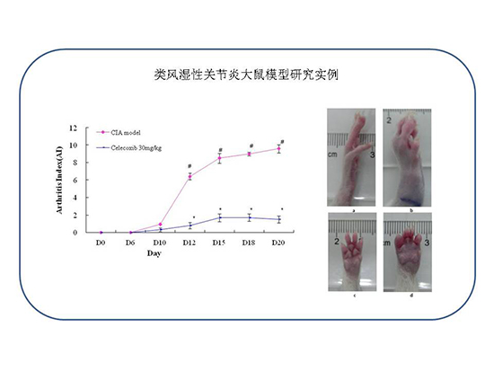 BG大游·(集团)视讯官方网站